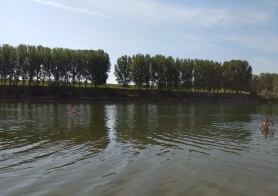 NEWS ALERT // Vibrionul holerei a fost găsit în bazinele de apă ale municipiului Chișinău